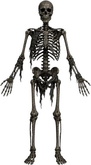 Dry Bones: a walking skeleton, grey and pitted, with rags at the hips.
